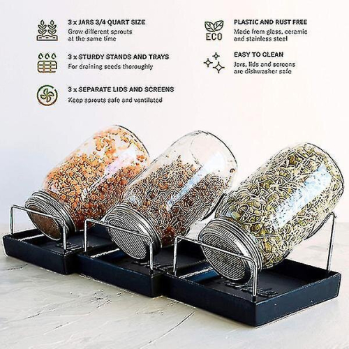 Automatic Sprouter Machine Bean Sprouts Growing Machine Large-capacity Sprouting Seedling 1