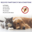 Hydrocortisone Spray, Itch Relief Spray 5