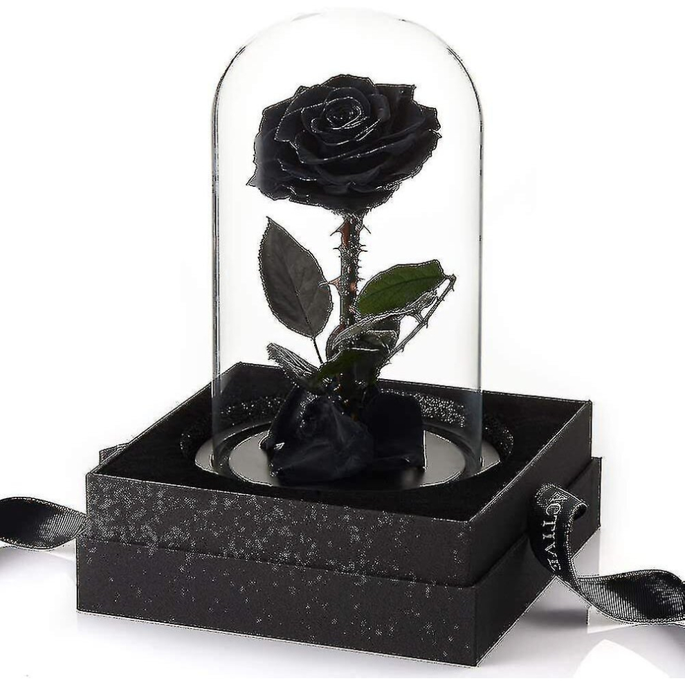 (Black) Preserved Real Rose Eternal Rose In Glass Dome Gift For Her Thanksgiving Black