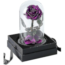 (Purple) Preserved Real Rose Eternal Rose In Glass Dome Gift For Her Thanksgiving