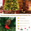 Costway 5FT Pre-Lit Artificial Christmas Tree Snowy Xmas Tree 11 Lighting Modes 7