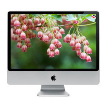 Apple iMac 21.5" Core i3 3.2GHz 4GB RAM 1TB SSD - MC509LLA - Refurbished