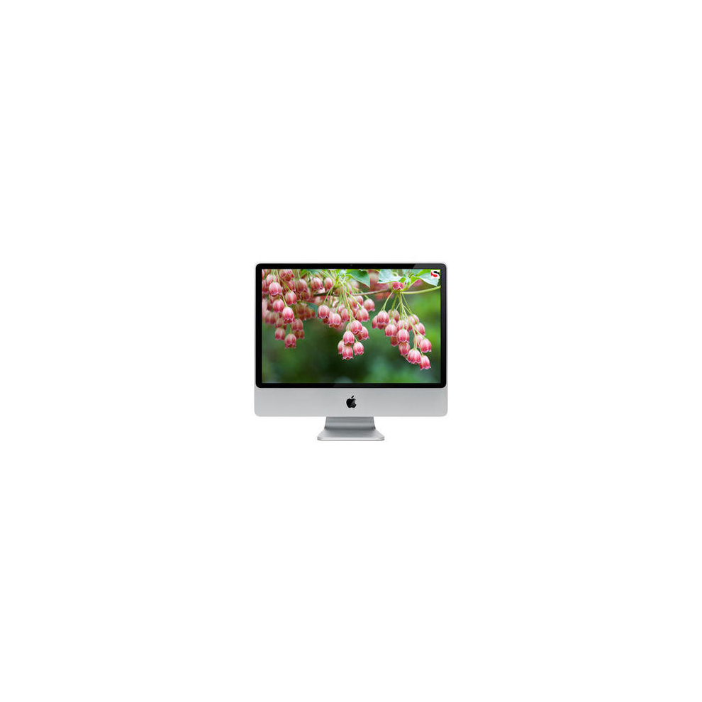 Apple Imac 21.5" Core I3 3.2Ghz 4Gb Ram 1Tb Ssd - Mc509lla