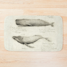 Bath Mat Whales 20 x 31 inch Non-slip Bathroom