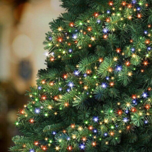 Garden Store Direct 480 LED Cluster Lights Multi Coloured