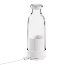Electric Travel Juicer, Portable Mini Jug Blender Bottle 300ML for Smoothie, Fresh Juice