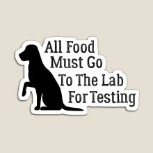 Fridge Magnets All Food Must Go To The Lab For Testing Acrylic Meme Decoration for Home Kitchen Office