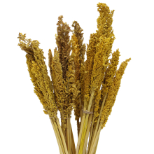Furniture & Home Furnishings - 6x of Cantal Grass Bunch - Amber