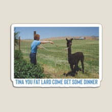 Fridge Magnets Tina The Fat Lard  Acrylic Meme Decoration for Home Kitchen Office