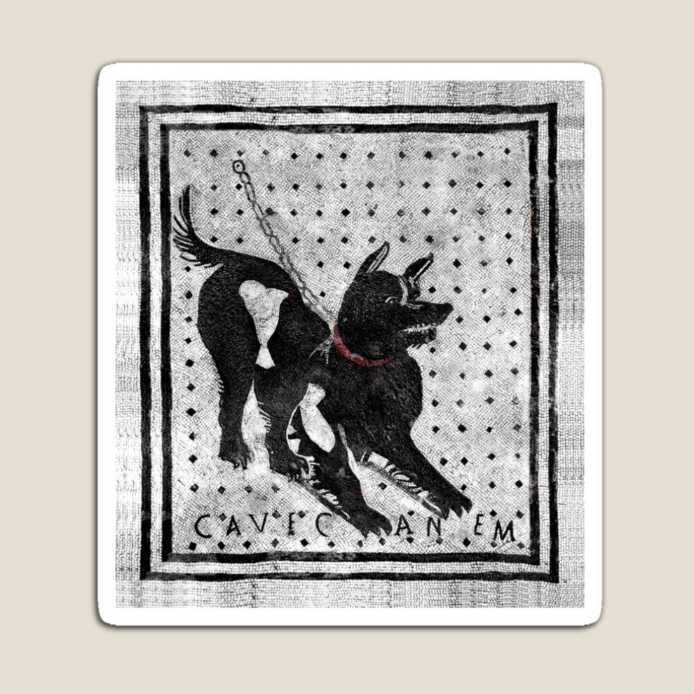 Fridge Magnets Cave Canem - Beware of Dog - Pompeii Latin Mosaic Acrylic Meme Decoration for Home Kitchen Office