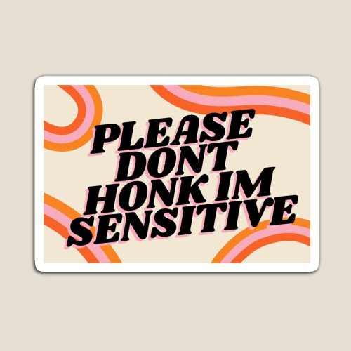 Fridge Please dont honk im sensitive Acrylic Meme Decoration