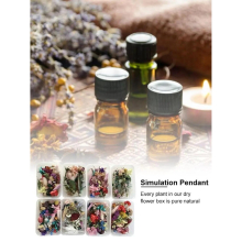 Natural Dried Flower Kit Pressed Artwork Handcrafts Leaves Herb