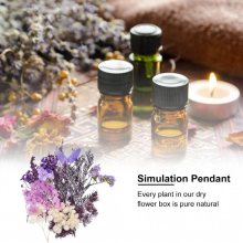 Natural Dried Flowers Pressed DIY Dry Herbs Plants Resin Decor