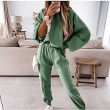 Loose Two Piece Sets Women Tracksuit Autumn Winter Casual Womens Sets Hooded Long Sleeve Hoodie Sport Pants Lady Suit WHD12