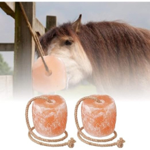 2x 3-5kg Himalayan Salt Horses Lick Pink Natural Salt Organic