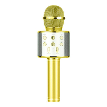 (Gold) winwin Wireless Bluetooth Karaoke Microphone for Kids Adult Singing with Record Function