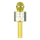 (Gold) winwin Wireless Bluetooth Karaoke Microphone for Kids Adult Singing with Record Function 1