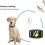 Gps Cat And Dog Collar Tracker 3
