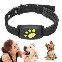 Gps Cat And Dog Collar Tracker