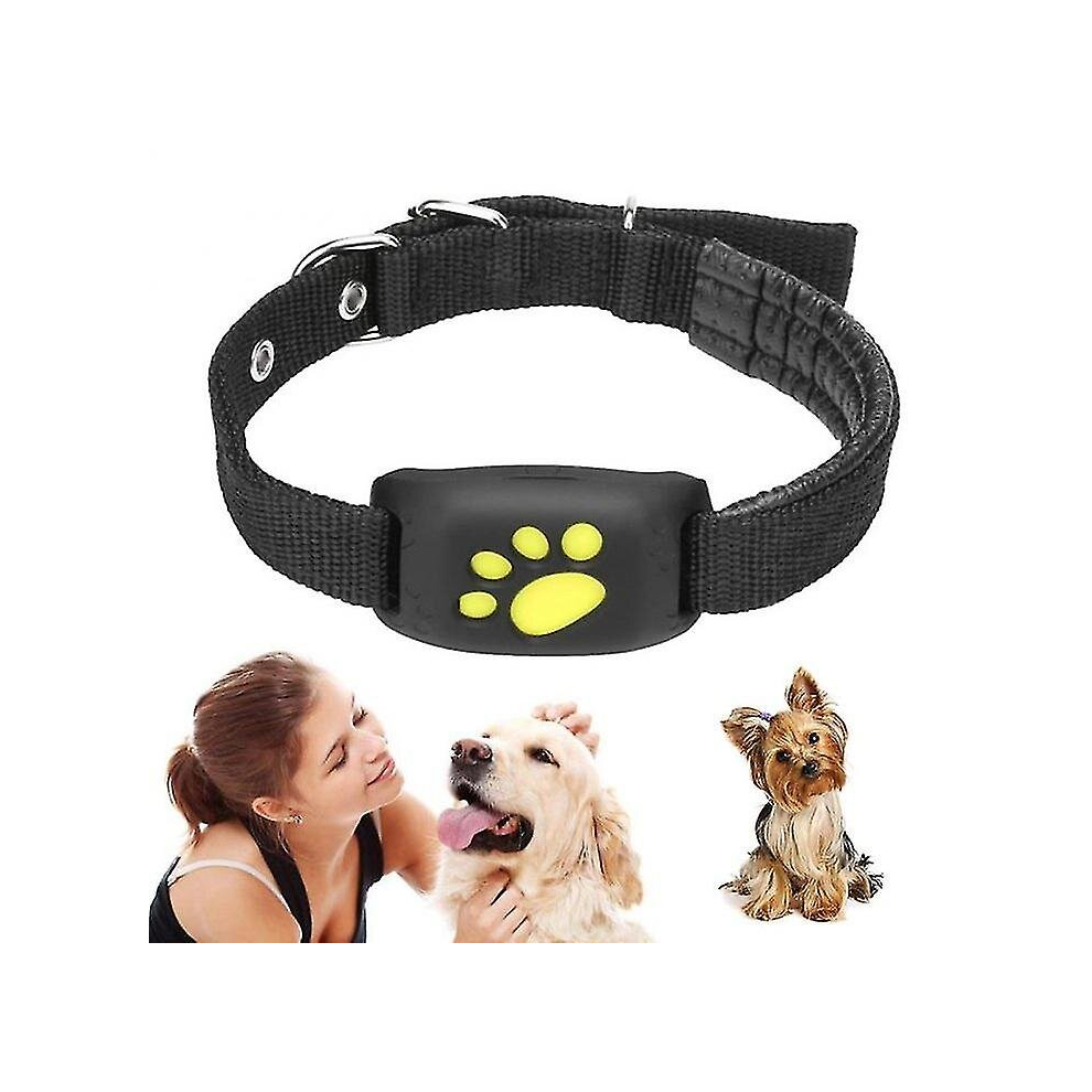 Gps Cat And Dog Collar Tracker