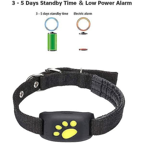 Gps Cat And Dog Collar Tracker 1