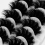 5 Pairs 8D Fluffy False Eyelashes For Dramatic False Eyelashes Fluffy Thick False Eyelashes Mink False Eyelash Makeup 3