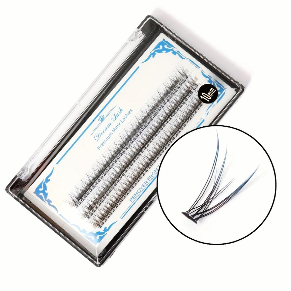 Multicoloured Ombre Cluster Eyelashes D Curl 10D Cluster Eyelashes 10Mm 12Mm False Eyelashes To Gradient Colored False Eyelashes