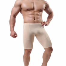 Fitness Leggings Men Fall Stretch Underpants Breathable Quick Dry Middle Pants Mens Trunk Underwears Silk Slip Boxers Nylon