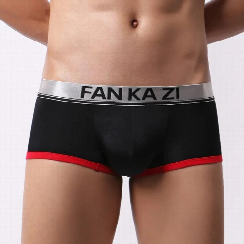 Christmas lighted boxer dog