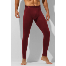 Thin Men Thermal Underwear Long Johns Underwear Autumn Winter Bottoming Trousers Warm Underpants Male Legging Tight L-XXXL