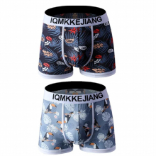 Man Undies Boy Panties Underwear Student Bottom Shorts Child Underpants Breathable Boxer Briefs Antibacterial Knickers