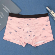 Youth Man Cotton Underwear Dinosaur Cartoon Print Breathable Middle Waist Mens Boxers Male Underpants