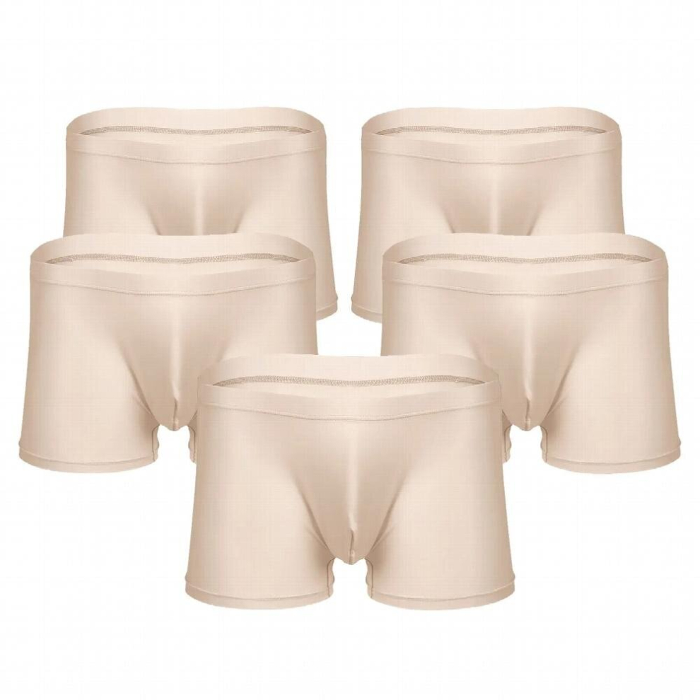 5Pcs Mens Erotic Lingerie Underwear Sexy Boxer Briefs Stretchy Fabric Comfortable Breathable.Shorts Underpants Sexy Gay Panties