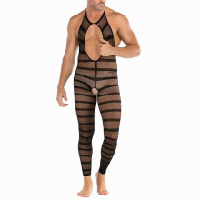 Mens Sexy Erotic Lingerie Transparent Underwear Gay Mesh Bodysuit Sissy Jumpsuit Male Sexy Playsuit Underwear Porno Pajamas