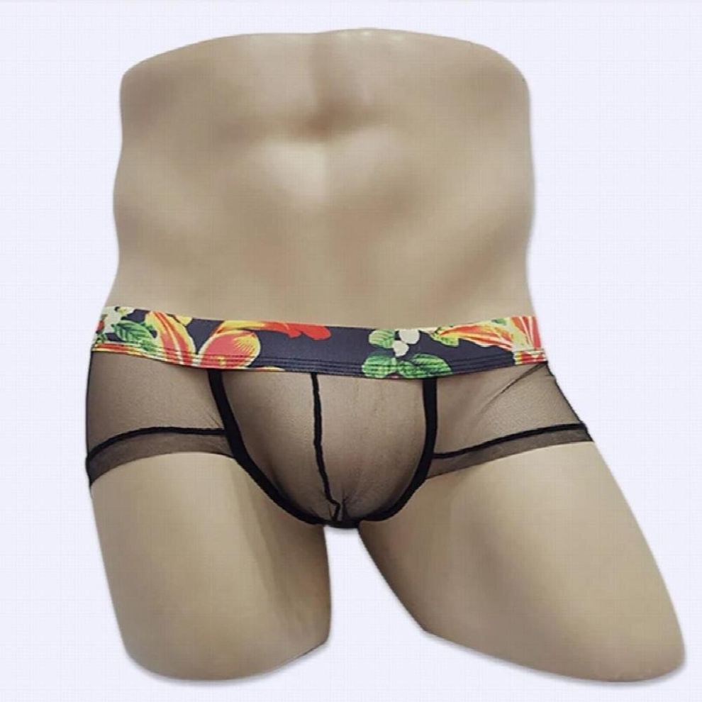 Gay Sexy Breathable Underwear Men Boxers Men Calzoncillos Sexy Transparent Panties For Men Jockstrap Slip Cueca Masculina stws03
