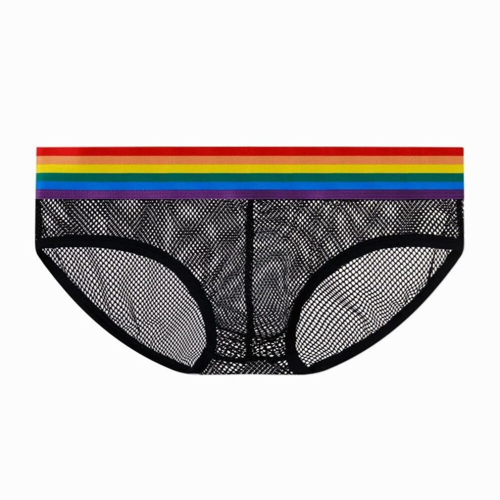 Multicoloured Plus Size Mesh Mens Panties Hollow Breathable Sexy Lingerie See Through Underwear Erotic Temptation Briefs Male Underpants Gay