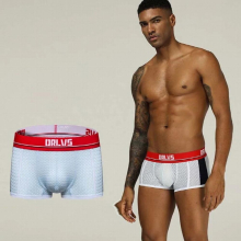 Mens Erotic Mesh Boxer Shorts Low Waist U Convex Buttocks Breathable Mesh Boxer Briefs Thin Comfortable Boxer Lenceria Hombre