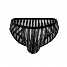 Men Briefs Sexy Transparent Mesh Underpant Ultra Thin Underwear Slips Stripe Panties Penis Pouch Erotic Lingerie