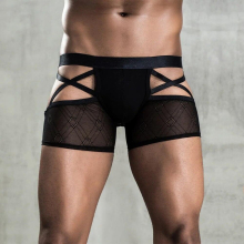 Sexy Perspective Mens Erotic Panties Hollow Fit Breathable Exotic Boxer Panties Sexy Panties