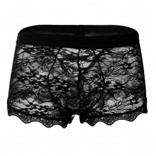 Gay Underwear Men Sexy Underwear Sissy Lace Bandaged Transparent Mesh Transparent See Through Low Waist Cueca Penis Male Panties