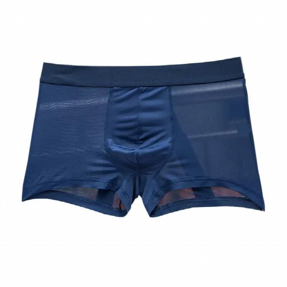 Multicoloured Transparent Mens Boxers Bulge Ice Silk See Through Underpants Sexy Men Underwear Low Waist Panties Lingerie Intimates