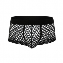 Sexy Breathable Thin Boxer Men Mesh Transparent See Through U-convex Underwear Fishnet Lingerie Gay Wear Shorts