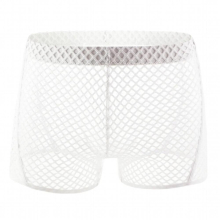 Sexy Mesh Underwear Men Fishnet Boxers Transparent Erotic Lingerie Breathable Underpants Trunks Boxer Arrow Shorts Bottoms