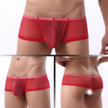 Sexy Silver Silk Mesh Perspective U Convex Breathable Briefs Ultra Thin Elastic Quick Dry Men Boxer Low Waisted Panties B47