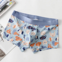 Man Sexy Ice Silk Nylon Boxers Shorts Funny Panties Male Gay Penis Pouch Jockstrap Bulge Underwear Men Shorts mens boxer briefs