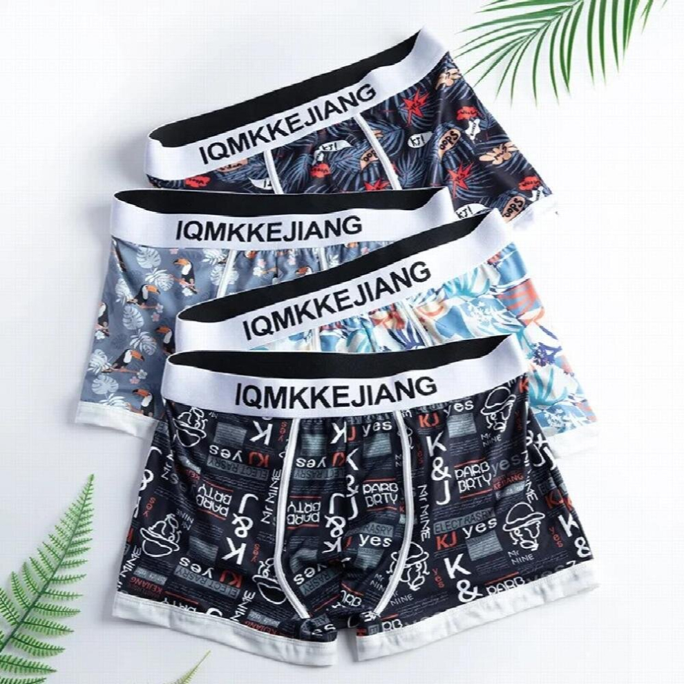 4Pcs Boy Undies Men Underwear Underpants Panties Sexy Knickers Undershorts Breathable Boxer Briefs Antibacterial Comfortable