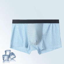Breathable Mesh Men Boxers Briefs Sexy Underpants Ice Silk Underwear No Trace Panties Boxer Shorts U Convex Pouch Soft Brief
