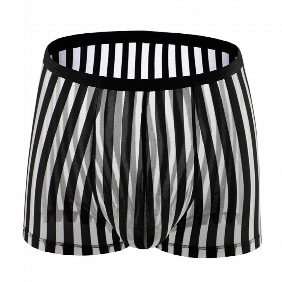 Multicoloured Sexy Men Panties Transparent Mesh Underwear Underwear Striped Ultra-Thin Boxer Shorts For Men Underpants Erotic Boxershorts