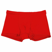 Ice Silk Seamless Men Boxers Silk Boxers Underwear Spandex 3D Crotch Boxer Nylon Underwear Shorts Slips Underpants
