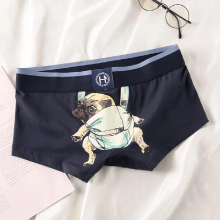Cotton Mens Underwear Boxers Breathable Youth Boxers Boys Personalized Shorts Boxers Underwear Underwear Men